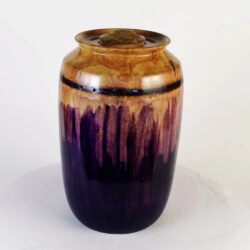 Pukehuia - Image 4