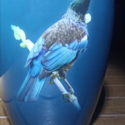 Tui Urn - Image 5